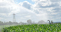 Epandage a�rien de pesticides: une demande de d�rogation qui fait d�bat en Ari�ge